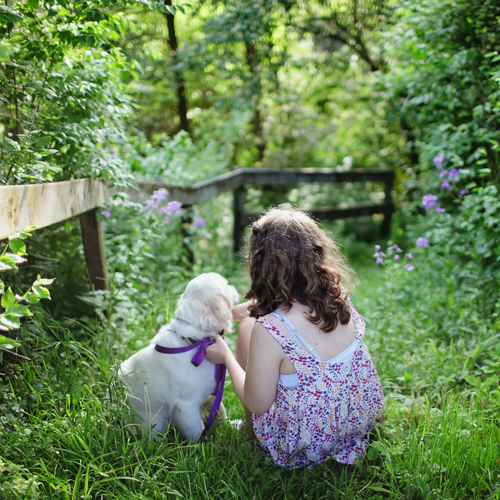 Bimbi e cani in sicurezza - Mustela Italia - 1