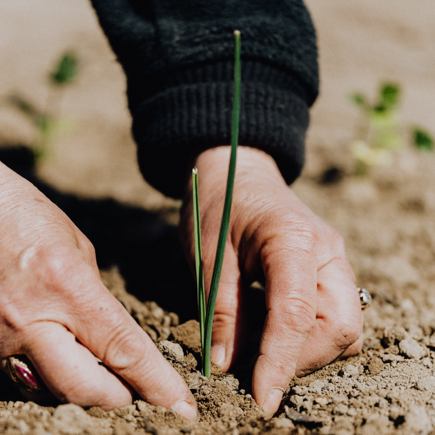 22 Aprile Giornata Mondiale della Terra: perché sprecare quando possiamo essere consumatori responsabili?