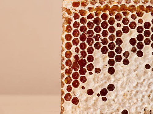 COLD_CREAM_1000X750_5097bf9b-10b8-4f01-bb52-e9a3e3c033a5 - Mustela Italia - 1