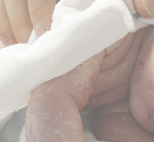 Placenta: cos'è e a cosa serve - Mustela Italia - 1