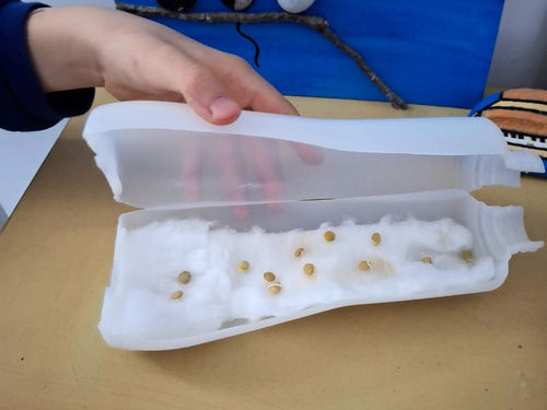 Riciclo creativo per bambini: come trasformare un flacone in un vasetto fiorito - Mustela Italia - 1