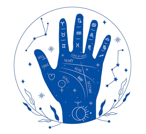 Quale sarà il suo segno zodiacale? - Mustela Italia - 1