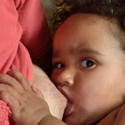 Paracapezzoli durante l'allattamento al seno: cosa sono, quando usarli e le controindicazioni - Mustela Italia - 1