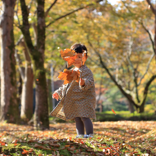 Autunno con i bambini: attività in boschi e parchi