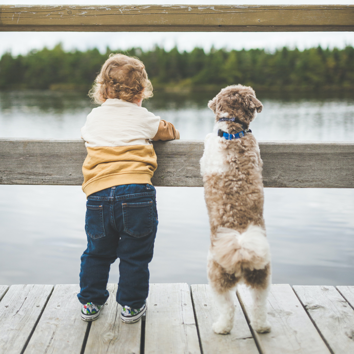 Bambini e animali domestici: istruzioni per l’uso