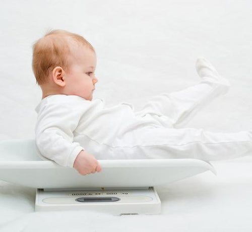 big_pesata - Mustela Italia - 1