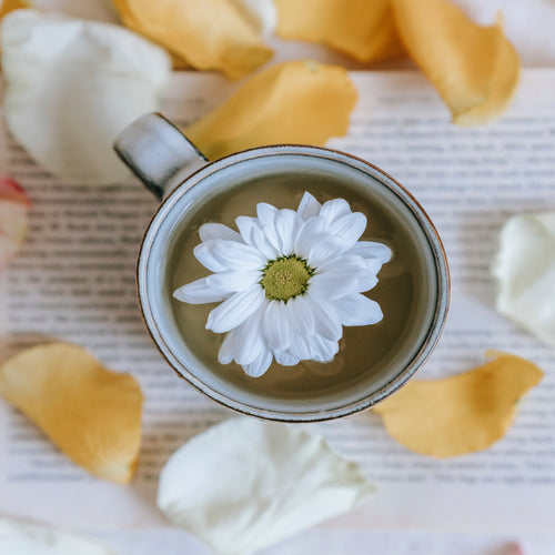 Camomilla: un rimedio naturale prezioso per i bambini - Mustela Italia - 1