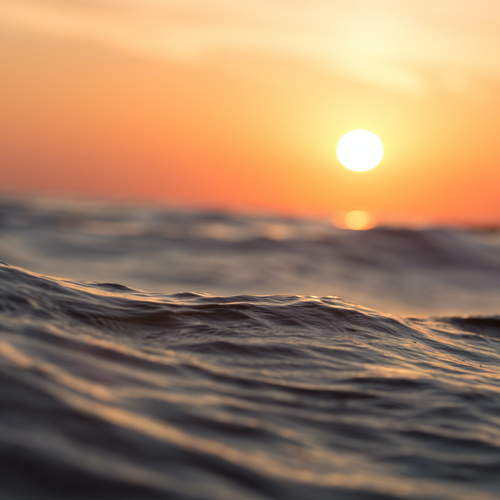 Blue Friday: un'onda per volta, agiamo per l'oceano di domani. - Mustela Italia - 1