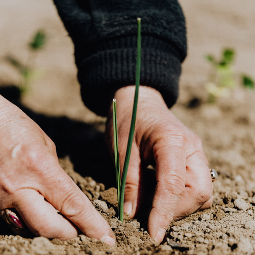 22 Aprile Giornata Mondiale della Terra: perché sprecare quando possiamo essere consumatori responsabili? - Mustela Italia - 1