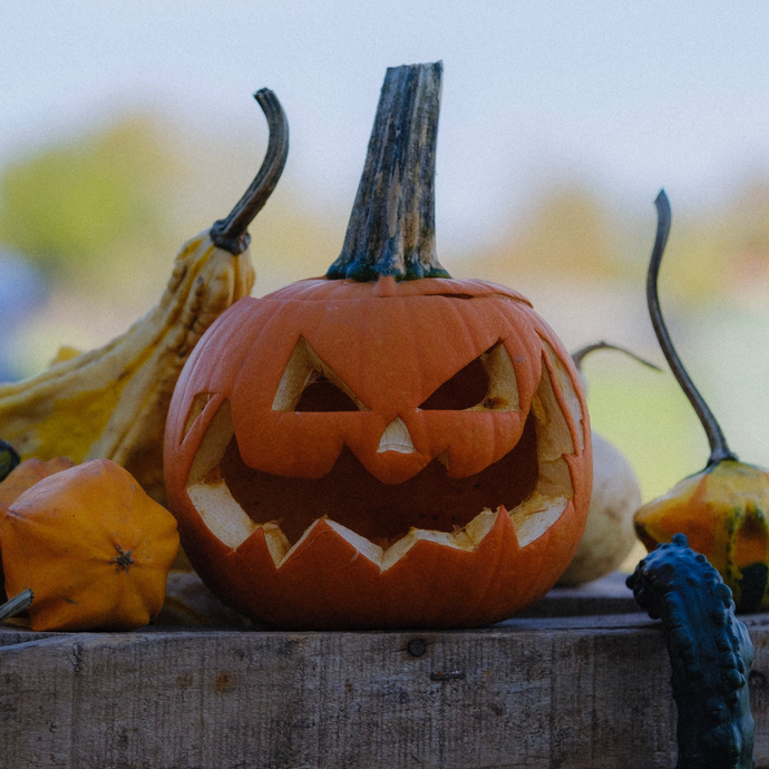Halloween: come decorare la zucca con i bambini