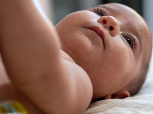 COLLECTION_PREMI_a7de3dea-4793-440c-987d-4ab8251dd79c - Mustela Italia - 1