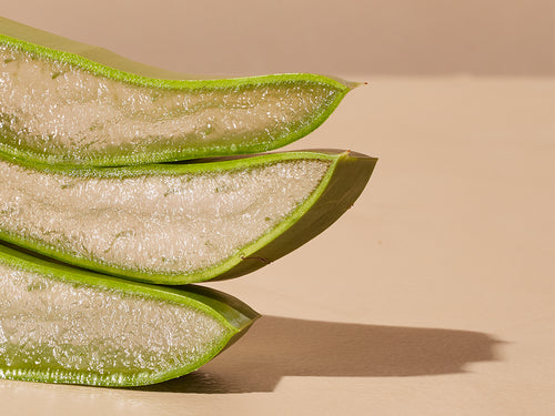ALOE-VERA_HD - Mustela Italia - 1