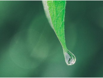 Aaron_Burden_2016-09-16__Unsplash - Mustela Italia - 1