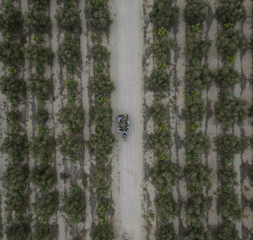 Champs-min_1 - Mustela Italia - 1