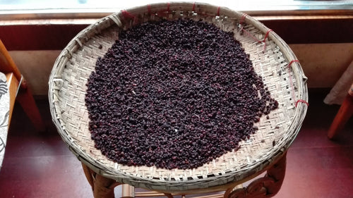 IMG_20191024_163339 - Mustela Italia - 1