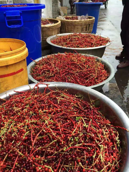 IMG_7694 - Mustela Italia - 1