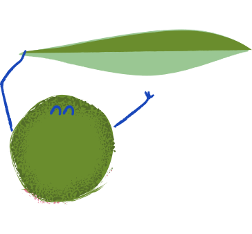 OLIVO - Mustela Italia - 1