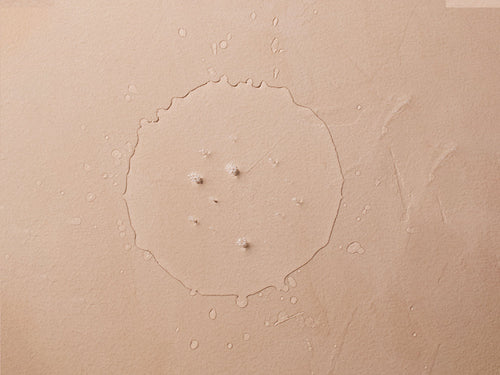 Acqua micellare certificata bio - Mustela Italia - 2