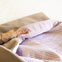 Special pack «Mustela All inclusive + Sacco nanna cammello»
