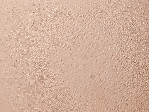 Acqua rinfrescante - Mustela Italia - 2